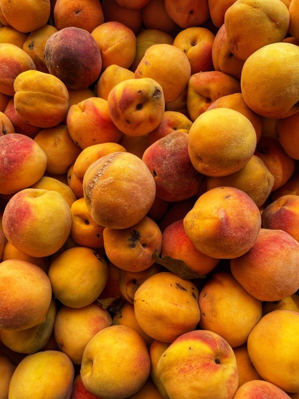 Où trouver les meilleures expériences de pêche en eau douce dans les lacs de Finlande ?